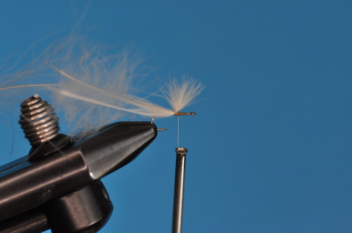 CDC Mayfly Step-by-Step