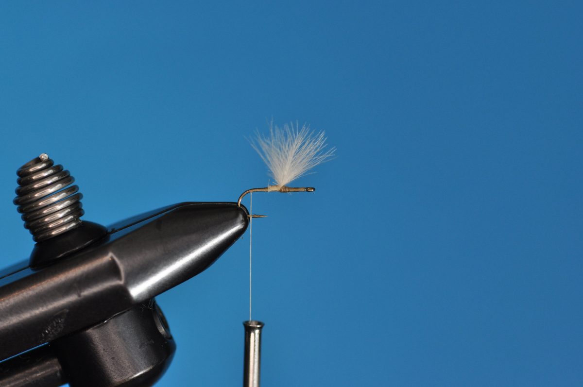 CDC Mayfly Step-by-Step