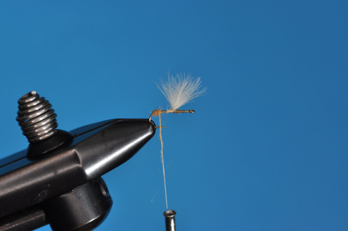 CDC Mayfly Step-by-Step