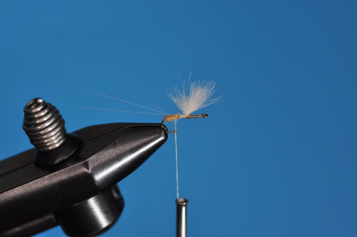 CDC Mayfly Step-by-Step