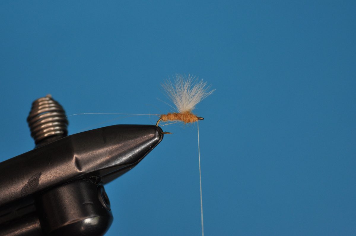 CDC Mayfly Step-by-Step