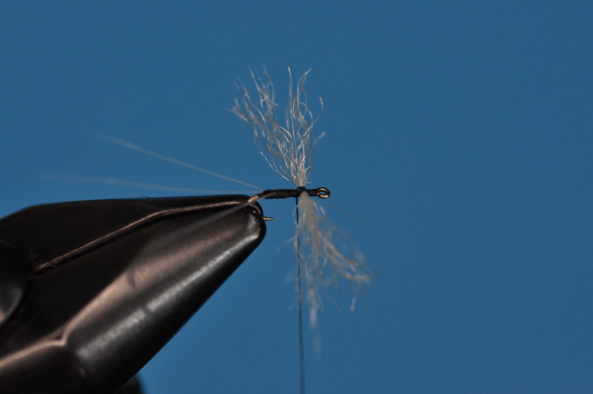 Trico Spinner Step-by-Step