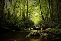 Great Smoky Mountains: Sept 2020 (Part 3)