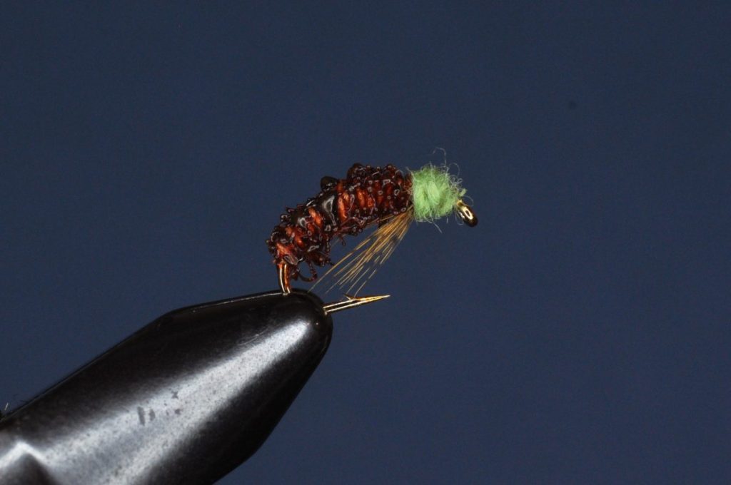 Burnt Chenille Cased Caddis Step-by-Step