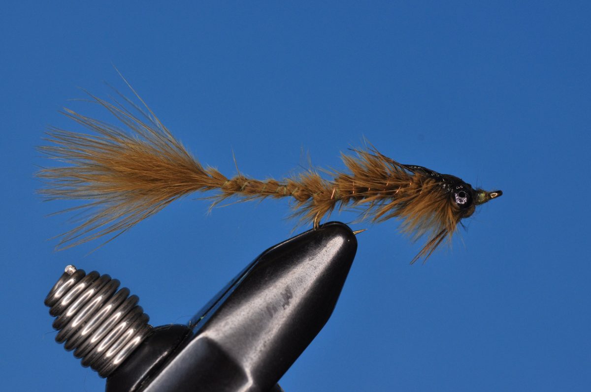 Damselfly Nymph Step-by-Step