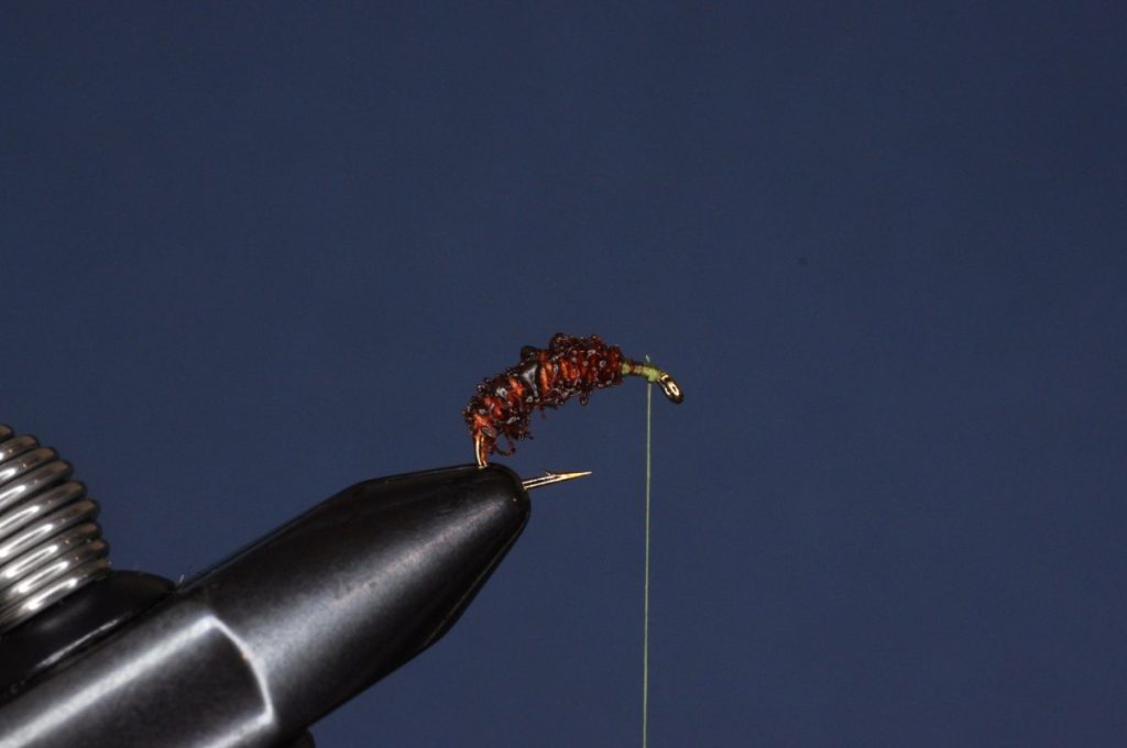 Burnt Chenille Cased Caddis Step-by-Step