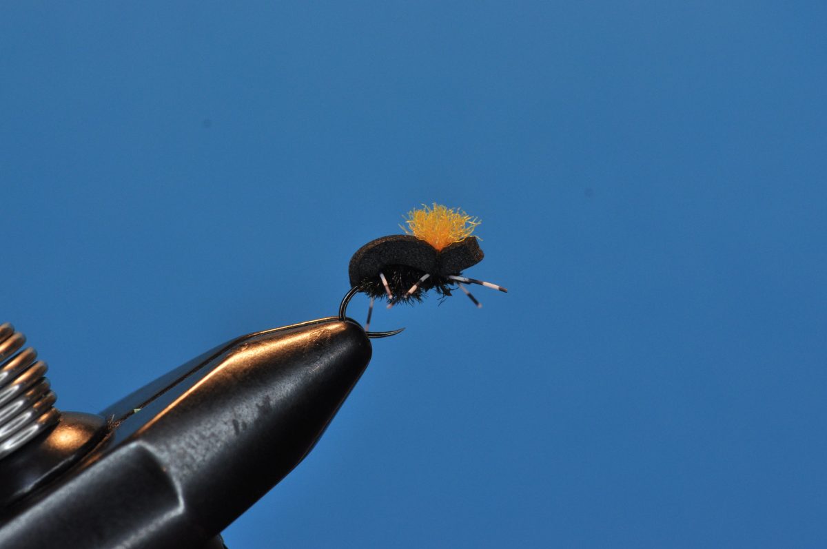 Beetle Fly Step-by-Step