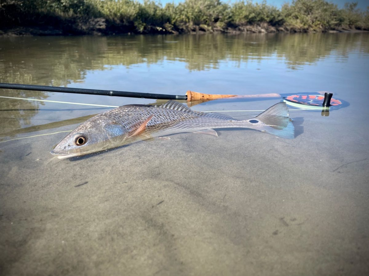 Grand Isle, LA: 01/13/2021