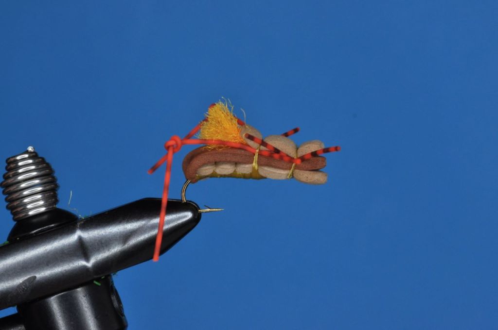 Fat Albert Fly Step-by-Step