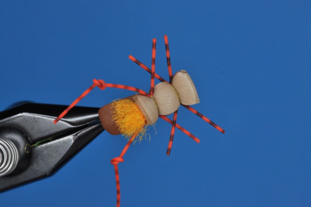 Fat Albert Fly Step-by-Step