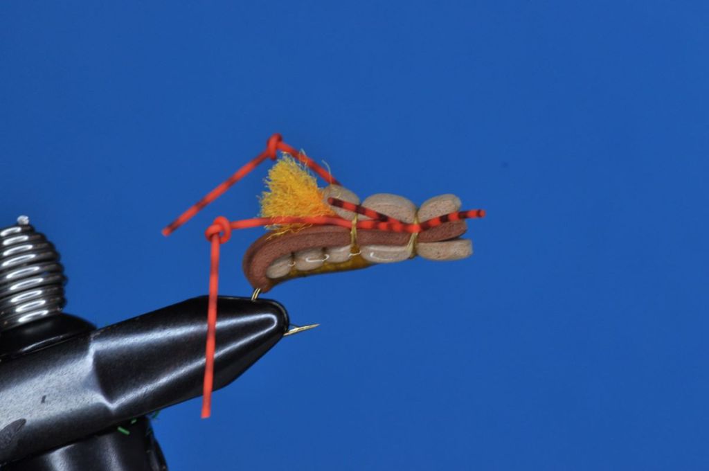 Fat Albert Fly Step-by-Step