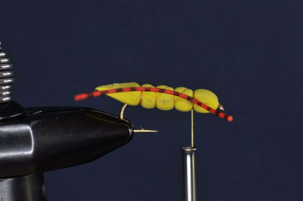 Charlie Boy Hopper Step-by-Step