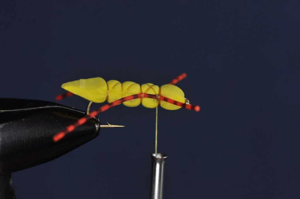 Charlie Boy Hopper Step-by-Step