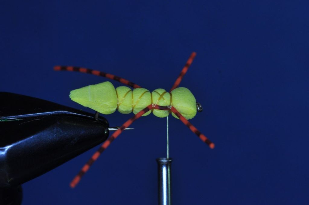 Charlie Boy Hopper Step-by-Step