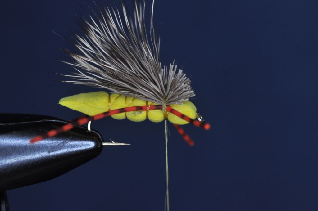 Charlie Boy Hopper Step-by-Step