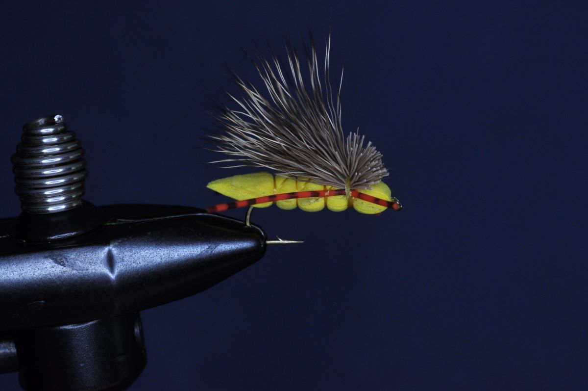 Charlie Boy Hopper Step-by-Step