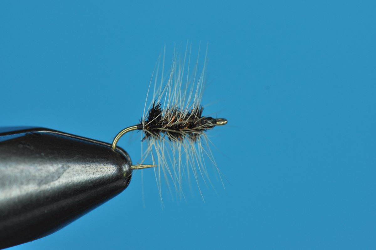 Griffith's Gnat Fly Step-by-Step