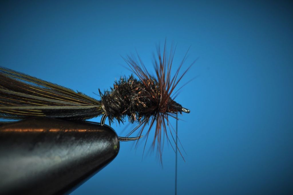 Sunken Beetle Fly Step-by-Step