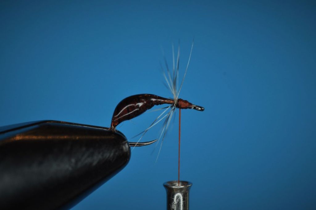 Sunken Ant Fly Step-by-Step