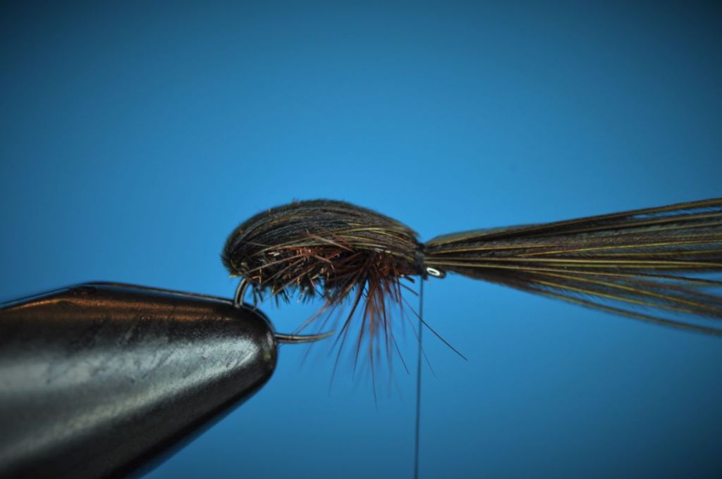 Sunken Beetle Fly Step-by-Step