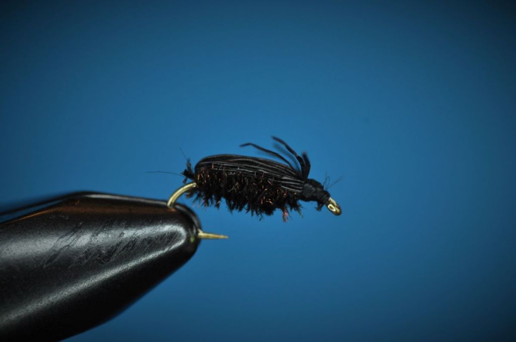 Deer Hair Beetle Step-by-Step