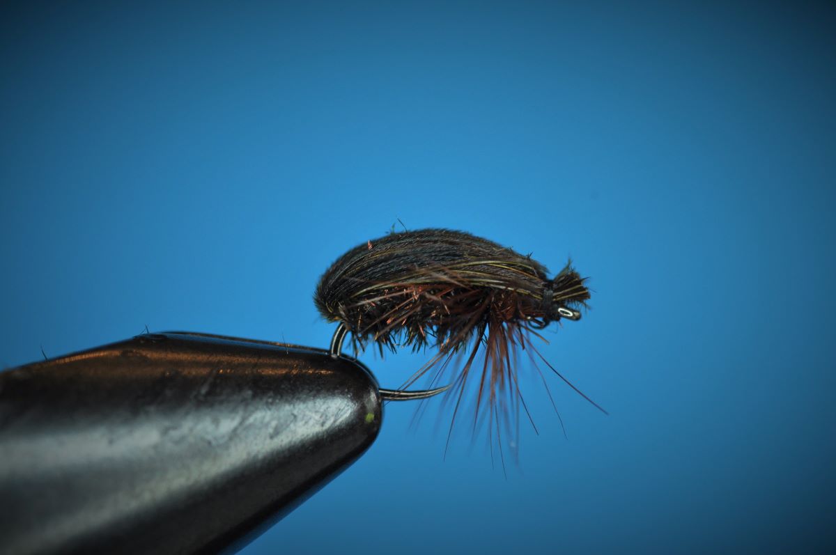 Sunken Beetle Fly Step-by-Step