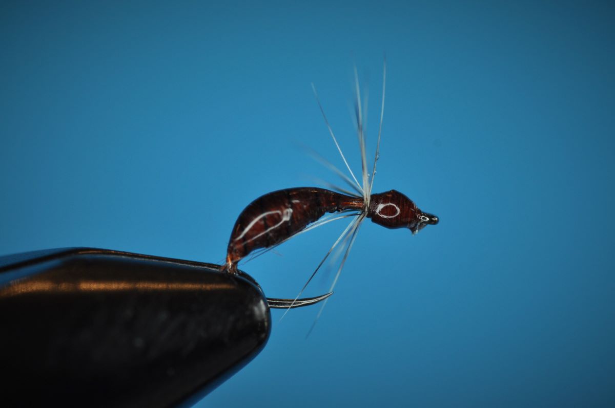 Sunken Ant Fly Step-by-Step