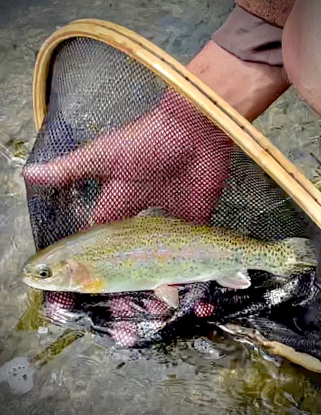 25 on the Fly (2022): Part 3