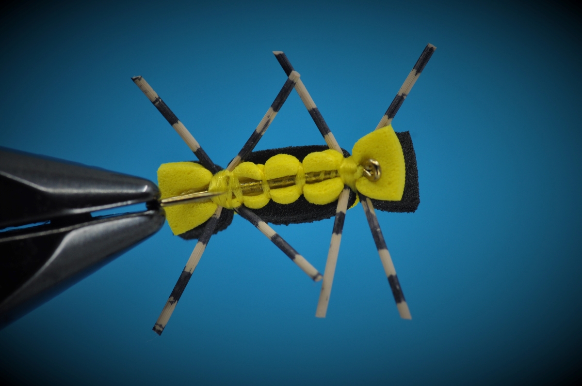 Chernobyl Ant Fly Step-by-Step