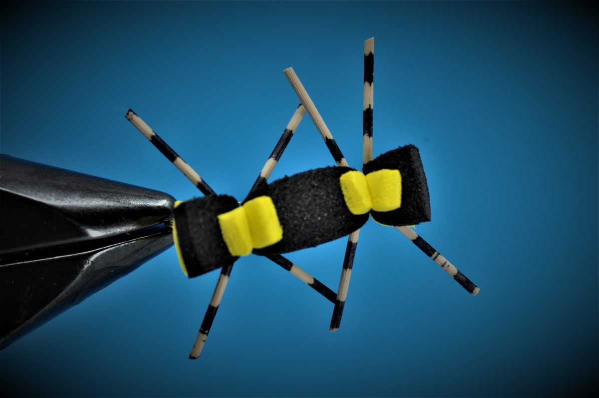 Chernobyl Ant Fly Step-by-Step