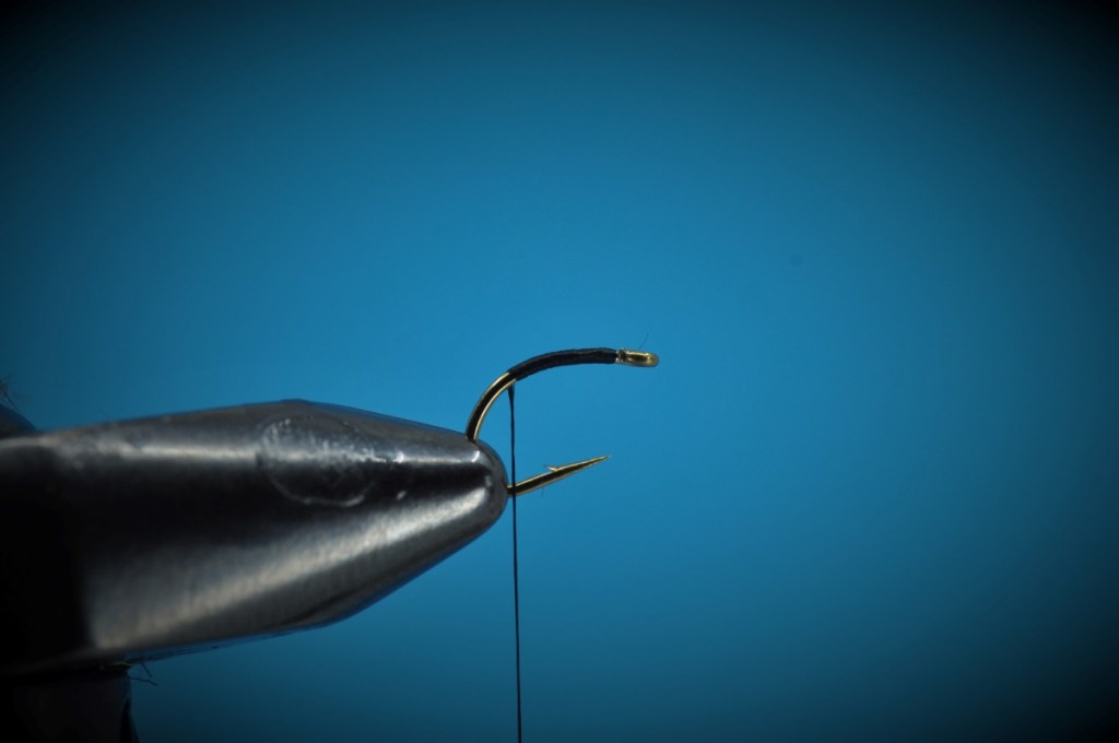 Narova Beetle Fly Step-by-Step