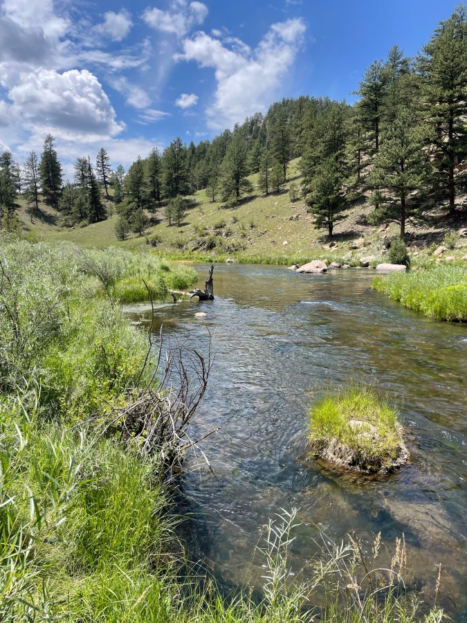 Colorado Fly Fishing 2022