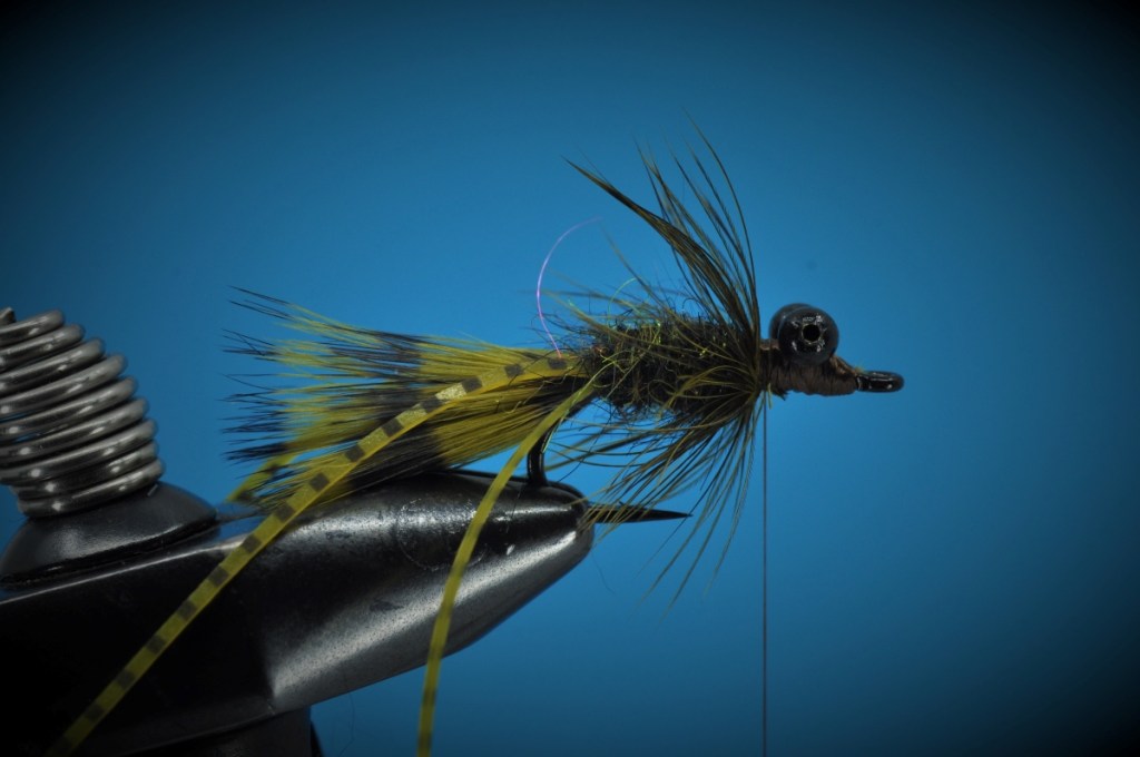 Carp Bitter Fly Step-by-Step