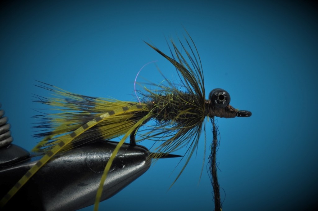 Carp Bitter Fly Step-by-Step