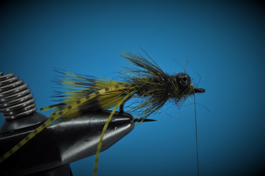 Carp Bitter Fly Step-by-Step