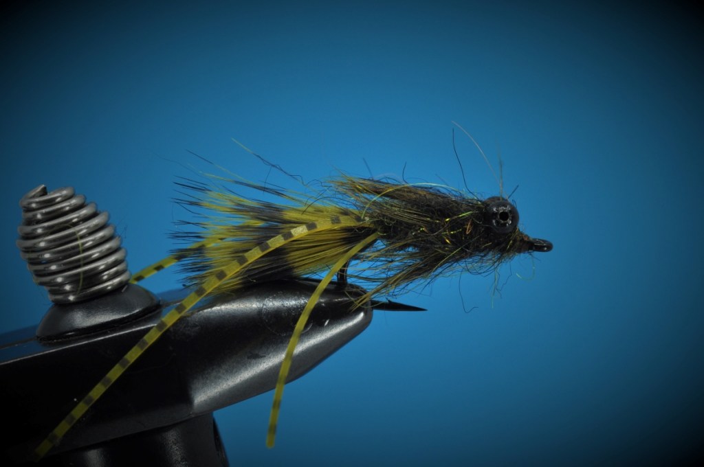 Carp Bitter Fly Step-by-Step