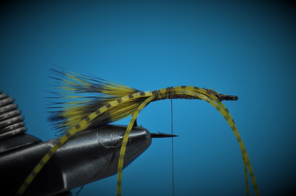 Carp Bitter Fly Step-by-Step