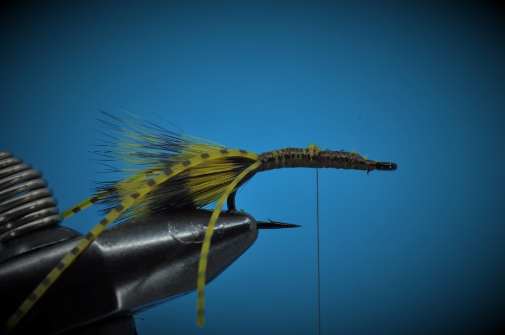 Carp Bitter Fly Step-by-Step