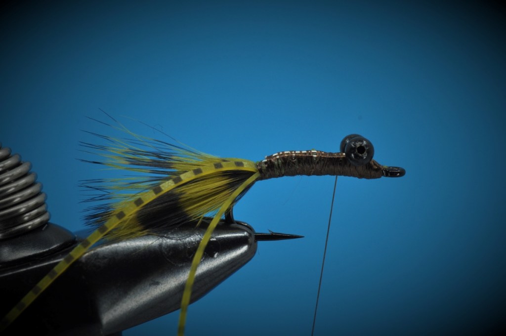 Carp Bitter Fly Step-by-Step