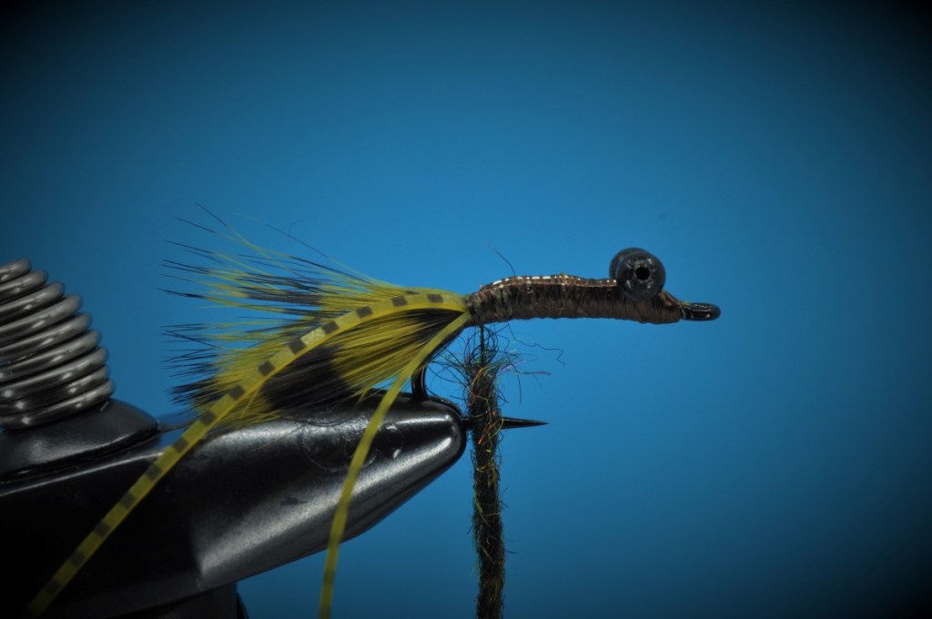 Carp Bitter Fly Step-by-Step