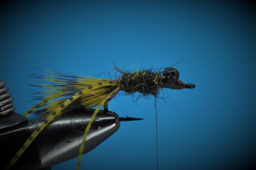 Carp Bitter Fly Step-by-Step