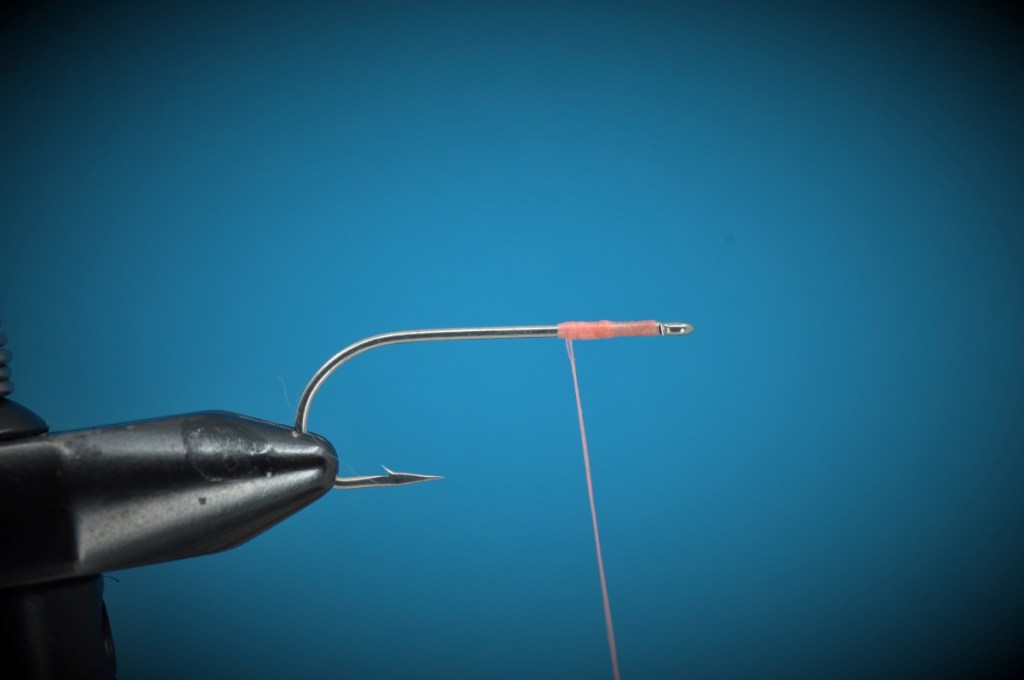 Peterson's Spawning Shrimp Step-by-Step