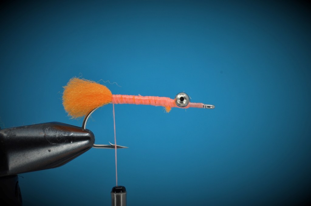 Peterson's Spawning Shrimp Step-by-Step