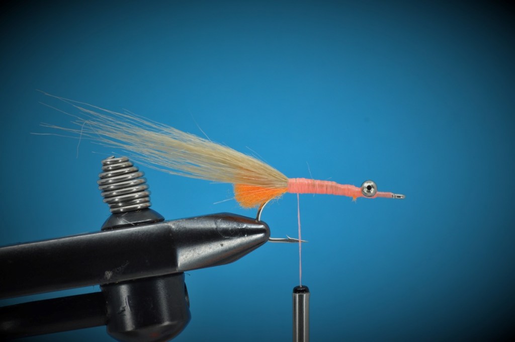Peterson's Spawning Shrimp Step-by-Step