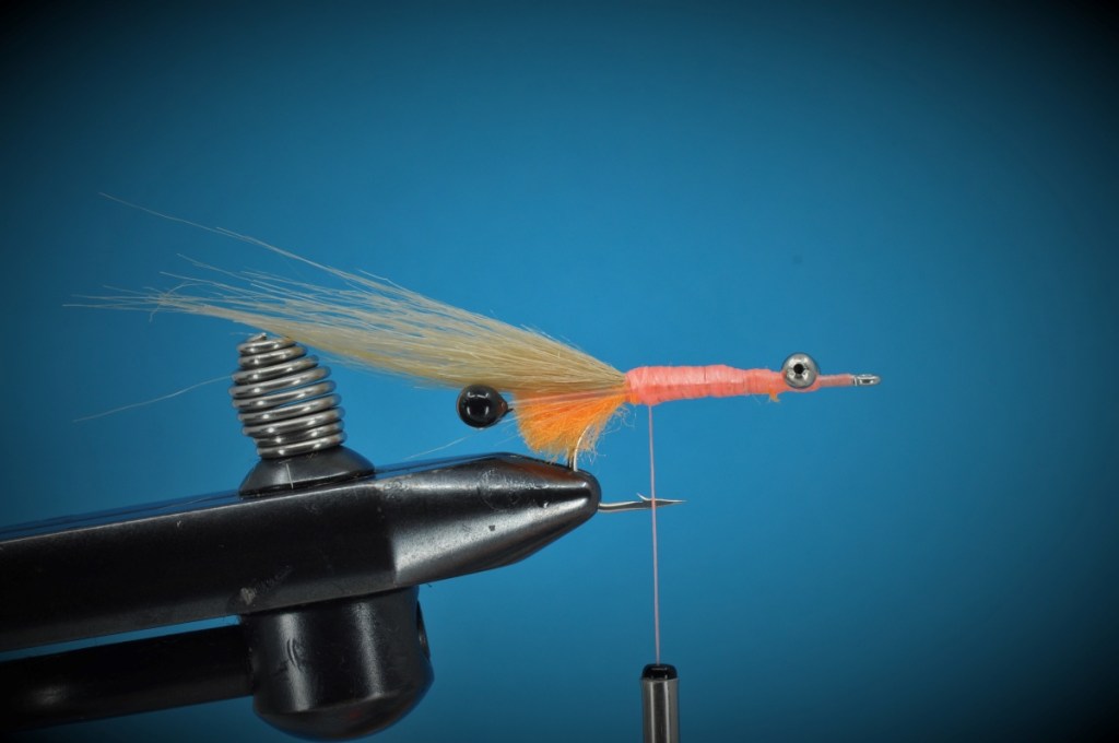 Peterson's Spawning Shrimp Step-by-Step