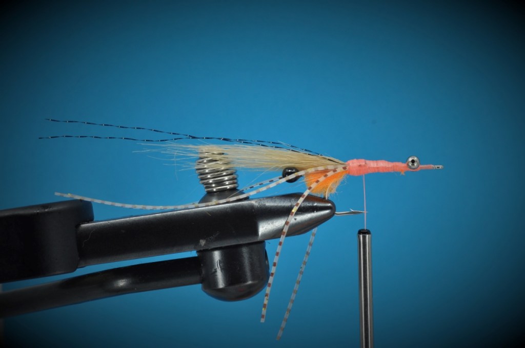 Peterson's Spawning Shrimp Step-by-Step