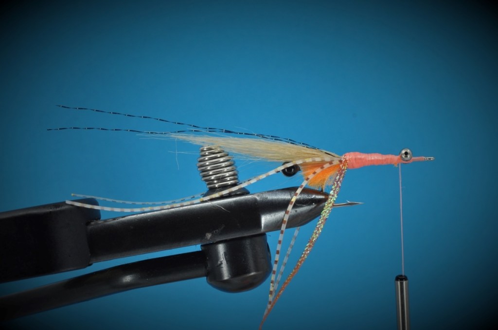 Peterson's Spawning Shrimp Step-by-Step