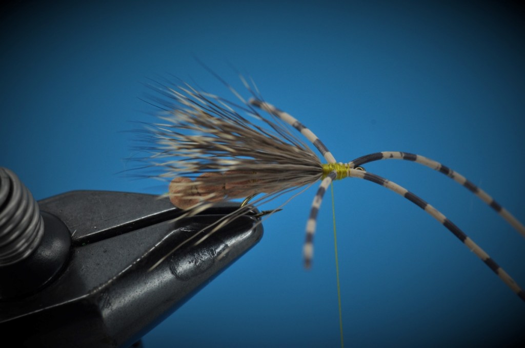 Extended Body Stonefly Step-by-Step