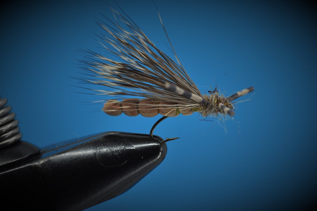 Extended Body Stonefly Step-by-Step