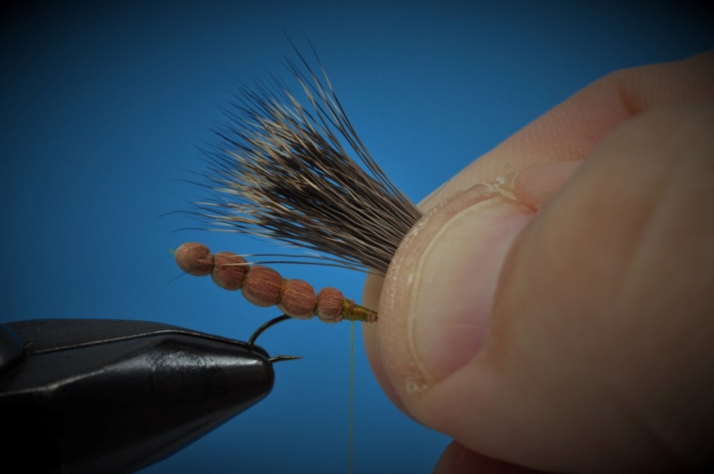 Extended Body Stonefly Step-by-Step